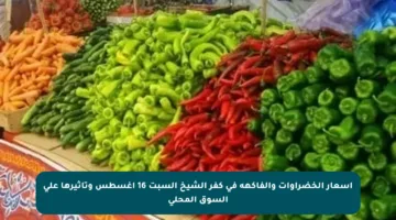 أسعار الخضراوات والفاكهة في كفر الشيخ السبت 16 أغسطس وتأثيرها على السوق المحلي